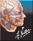 Icon: Netter's Advanced Head & Neck Flash Cards (ModalityBody)
